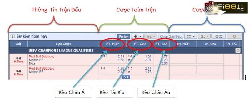 Ca Do Ca Cuoc Bong Da La Gi Nhung Dieu Ve Ca Cuoc Bong Da Phai Biet 1676713158